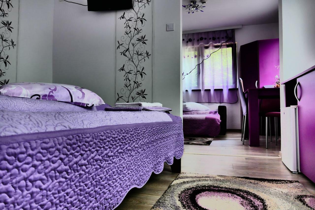 Hotel Pensiunea Roua Florilor à Anina Extérieur photo