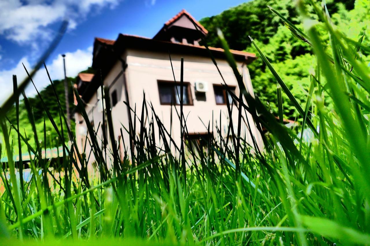 Hotel Pensiunea Roua Florilor à Anina Extérieur photo