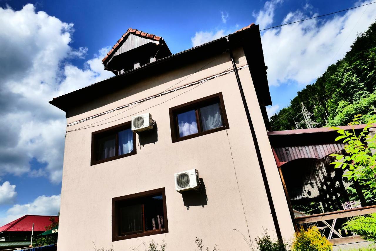 Hotel Pensiunea Roua Florilor à Anina Extérieur photo