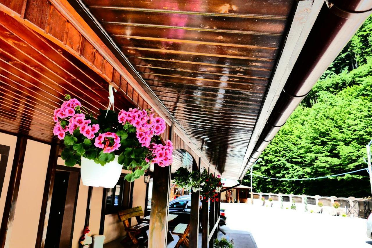 Hotel Pensiunea Roua Florilor à Anina Extérieur photo