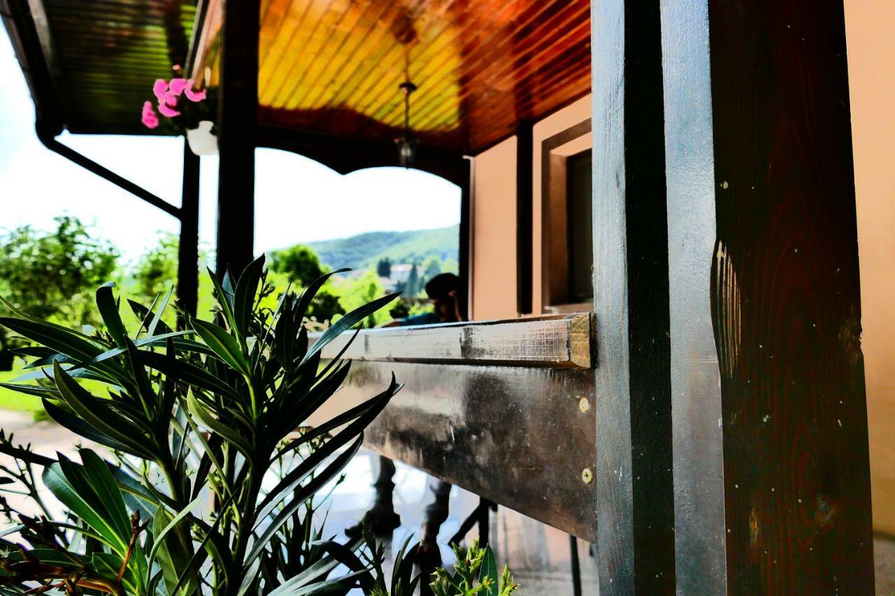 Hotel Pensiunea Roua Florilor à Anina Extérieur photo