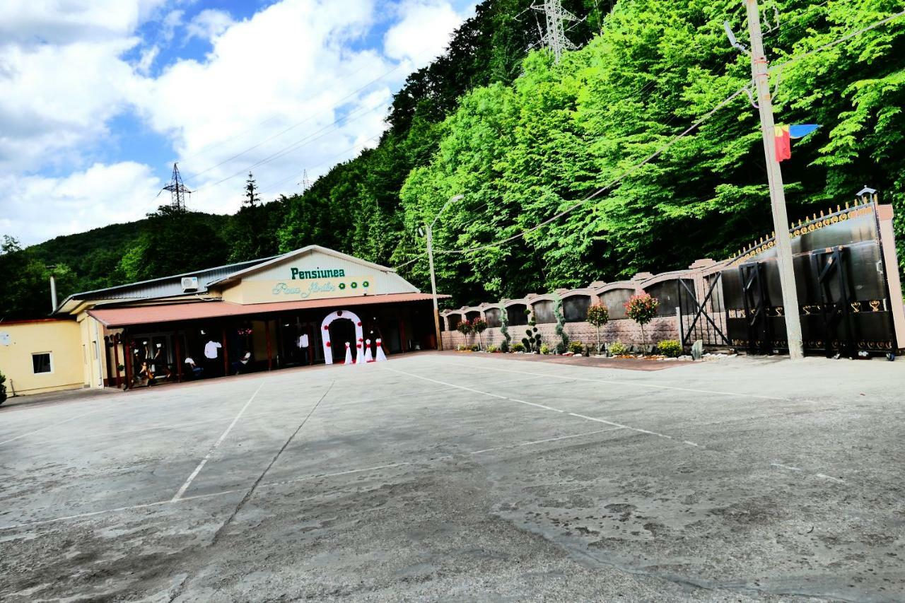 Hotel Pensiunea Roua Florilor à Anina Extérieur photo