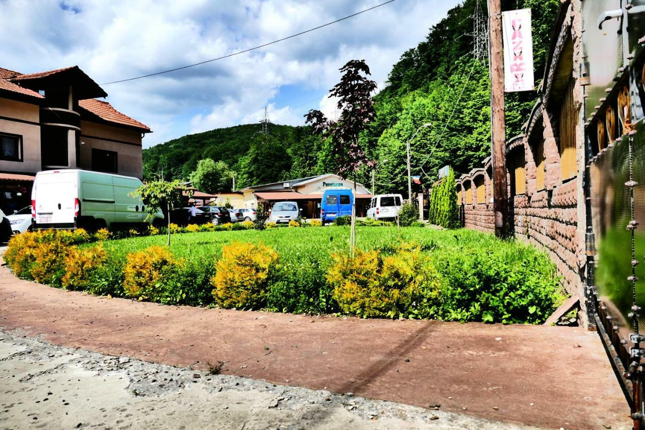 Hotel Pensiunea Roua Florilor à Anina Extérieur photo