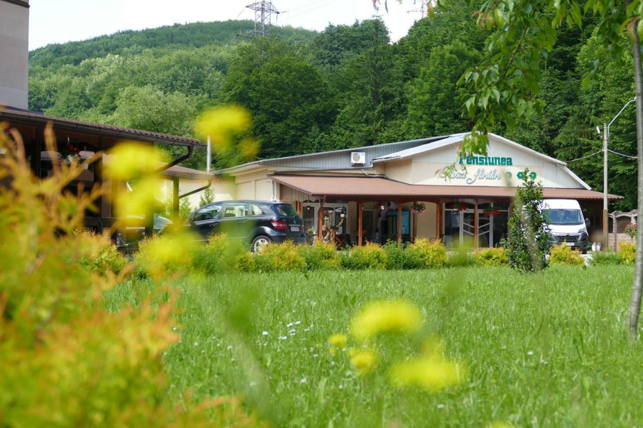 Hotel Pensiunea Roua Florilor à Anina Extérieur photo